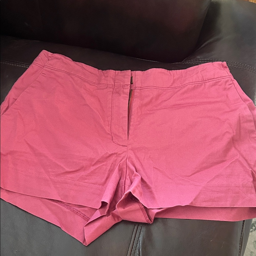 JCrew Kids Pink Shorts